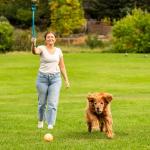 Outward Hound Launch A Ball Dog Toy Launcher
