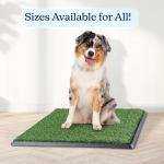 Reusable 4-Layer Puppy Pee Pad with Tray