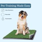 Reusable 4-Layer Puppy Pee Pad with Tray