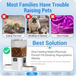 Frienhund 5G WiFi Automatic Pet Feeder with Cameras