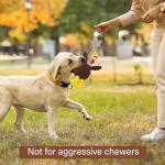 Prime Pets Plush Dog Toy Set, 5 Pieces