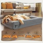 Orthopedic Memory Foam Dog Bed with Removable Cover