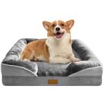 Spotted Play Orthopedic Dog Bed for Medium Dogs