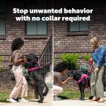 PetSafe Ultrasonic Bark Trainer with Flashlight