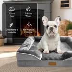 Spotted Play Orthopedic Dog Bed for Medium Dogs