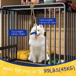 Interactive Dog Toys for Puppy Training and Teething