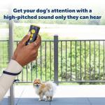 PetSafe Ultrasonic Bark Trainer with Flashlight
