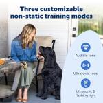PetSafe Ultrasonic Bark Trainer with Flashlight