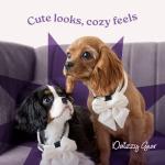 Daizzy Gear Waterproof Dog Walking Bag with Treat Pouch