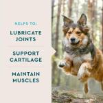 VetIQ Hip & Joint Soft Chews for Dogs