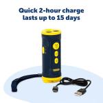 PetSafe Ultrasonic Bark Trainer with Flashlight