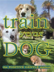 Positive Dog Training Guide for Happy Pups