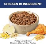 Hill's Science Diet Large Breed Puppy Food 27.5 lb