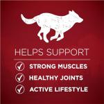 Purina One True Instinct Grain-Free Dog Food