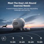 Automatic Ball Launcher for Medium & Large Dogs