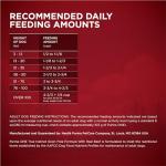 Purina One True Instinct Grain-Free Dog Food