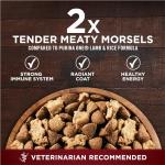 Purina One True Instinct Grain-Free Dog Food