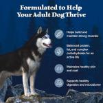 Blue Buffalo Wilderness High-Protein Dry Dog Food