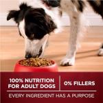Purina One True Instinct Grain-Free Dog Food