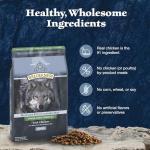 Blue Buffalo Wilderness High-Protein Dry Dog Food