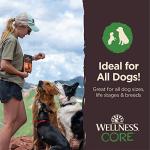 Wellness CORE Grain-Free Tiny Trainers Dog Treats