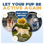 Jope Joint Chews for Dogs with UC-II® Collagen