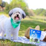 Ark Naturals Dog Dental Chews for Fresh Breath