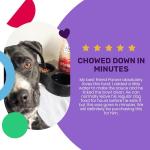 I AND LOVE AND YOU Beef & Sweet Potato Dog Food