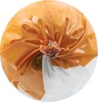 Freshpet Grain-Free Chicken & Turkey Dog Food Roll