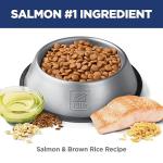 Hill's Science Diet Puppy Food for Sensitive Stomachs