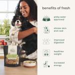 Freshpet Homestyle Beef, Chicken & Turkey Dog Food