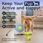 Automatic Dog Ball Launcher with 10 Tennis Balls