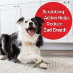 Milk-Bone Daily Dental Chews, Mint Flavor, 25 Count