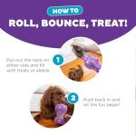 Outward Hound Double Snoop Treat Dispensing Toy