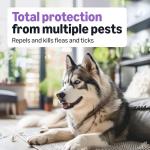 Amazon Basics Flea and Tick Treatment for Dogs