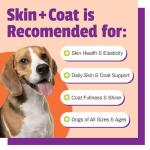 Pet Naturals Skin & Coat Chews for Dogs