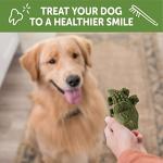 Whimzees Alligator Dental Chews for Dogs - Large