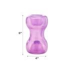 Outward Hound Double Snoop Treat Dispensing Toy