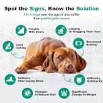 Hip and Joint Chews for Dogs - Peanut Butter