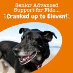 Zesty Paws Senior Dog Multivitamin Treats - 90ct