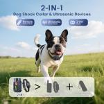 2-in-1 Dog Training Shock Collar with Remote