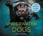 Dogs Diving Underwater Photo Book