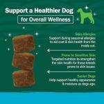 Petnc Natural Care Dog Skin & Coat Chews