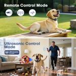 2-in-1 Dog Training Shock Collar with Remote