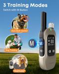 2-in-1 Dog Training Collar with Remote