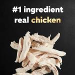 Cesar Small Breed Dry Dog Food, Chicken & Veggies