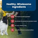 Blue Buffalo Life Protection Beef & Brown Rice Dog Food