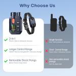 2-in-1 Dog Training Shock Collar with Remote