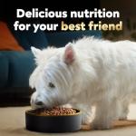 Cesar Small Breed Dry Dog Food, Chicken & Veggies