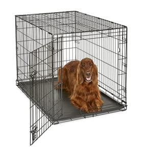 42-Inch Folding Metal Dog Crate for Large Breeds
